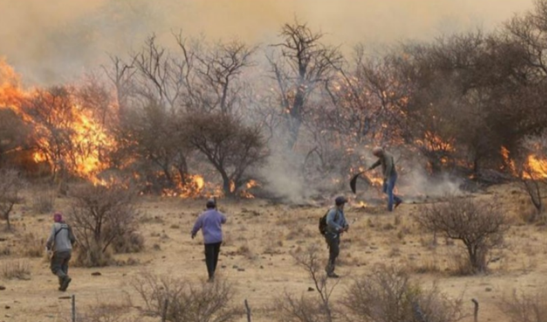 Incendios forestales: advierten que las heladas pueden convertir el pasto en combustible
