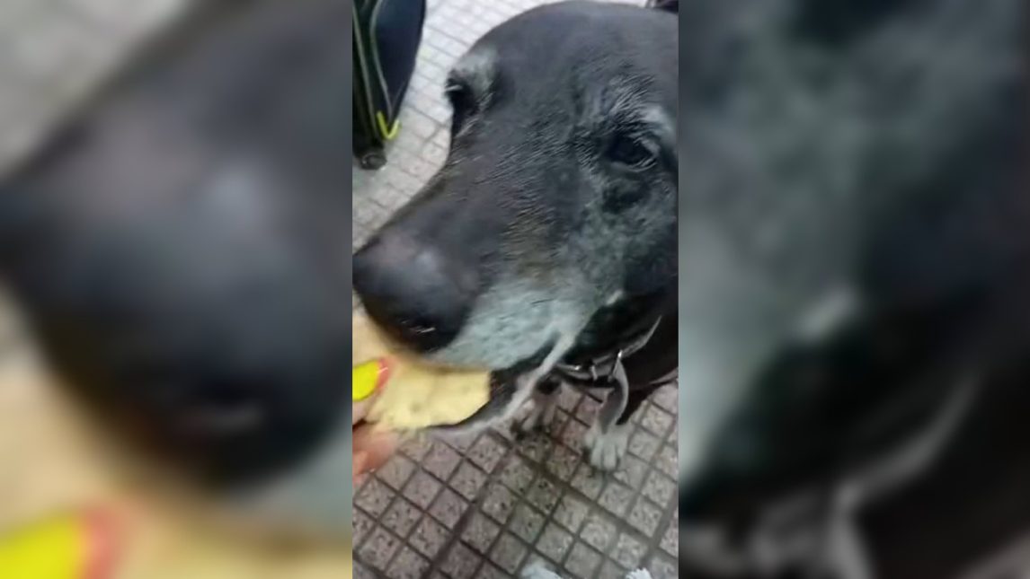 El conductor acusado de atropellar a “La Negra” rompió el silencio y dio su versión de los hechos