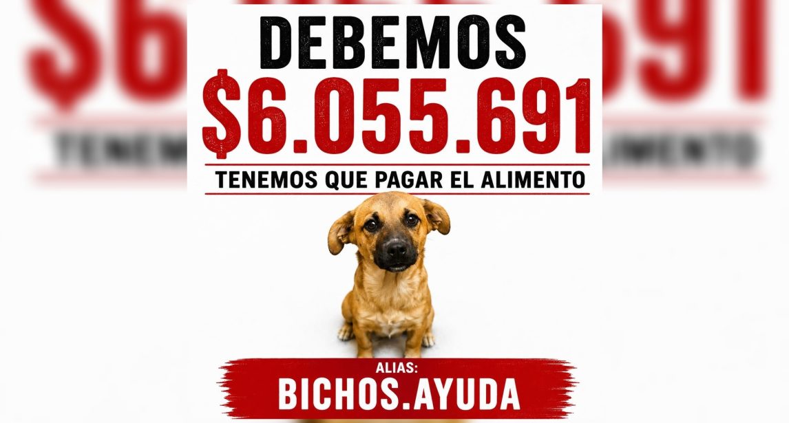 “Dependen de nosotros para comer”: “Bichos” necesita reunir más de $6.000.000 por una deuda