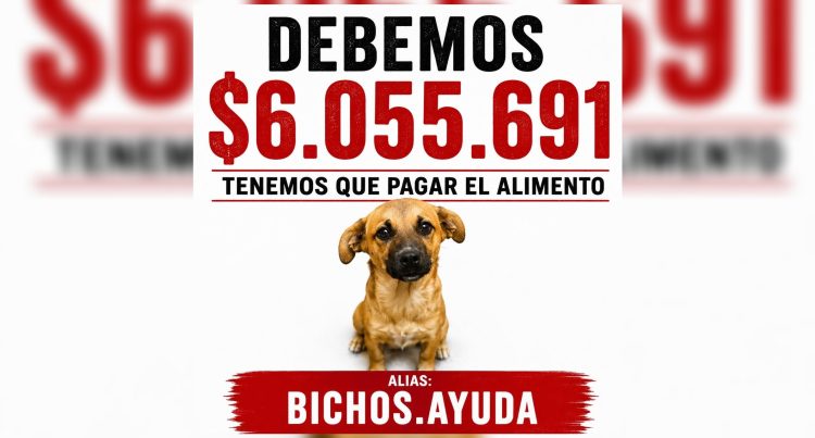 “Dependen de nosotros para comer”: “Bichos” necesita reunir más de $6.000.000 por una deuda
