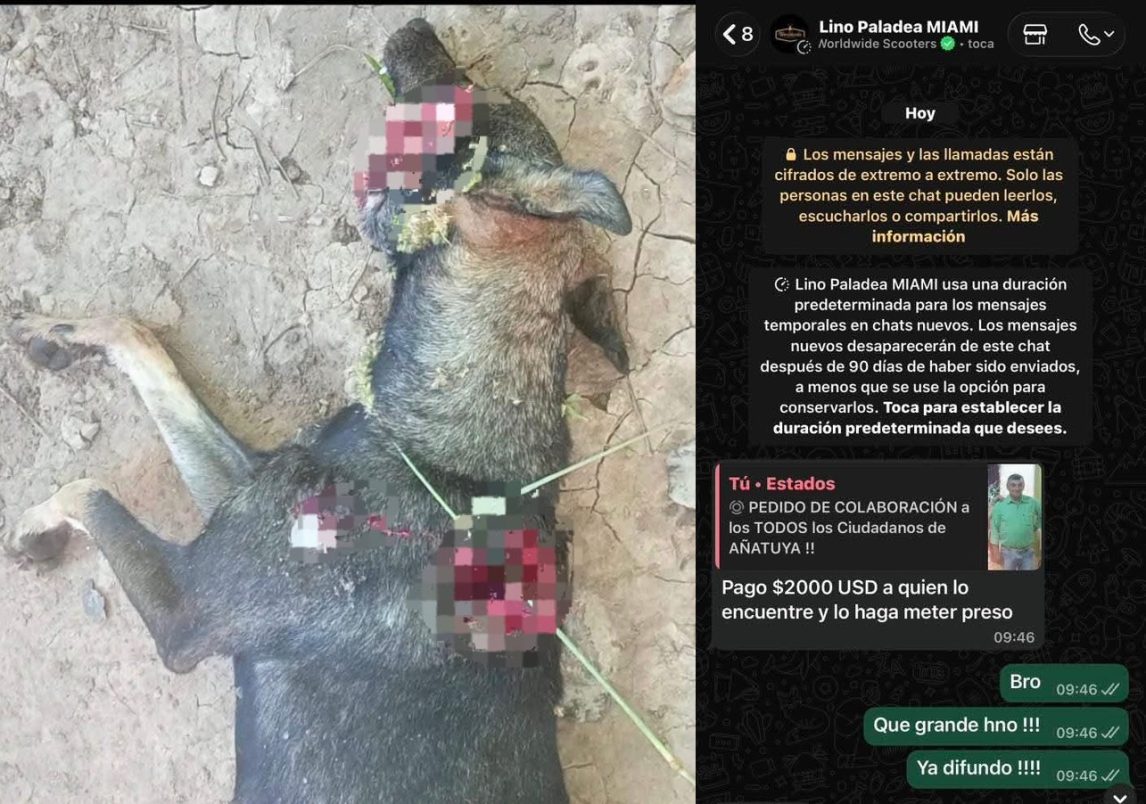 Añatuya: influencer ofrece USD 2.000 para dar con el paradero del sujeto que asesinó a una perra