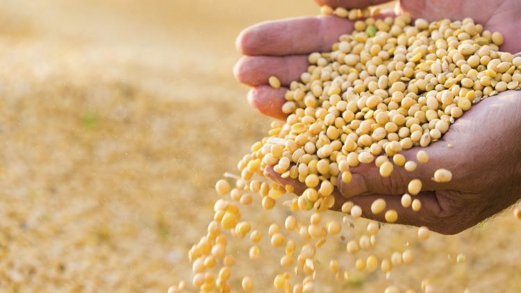 Activan un nuevo protocolo para proteger la propiedad intelectual y el Gobierno espera un millonario incremento de exportaciones