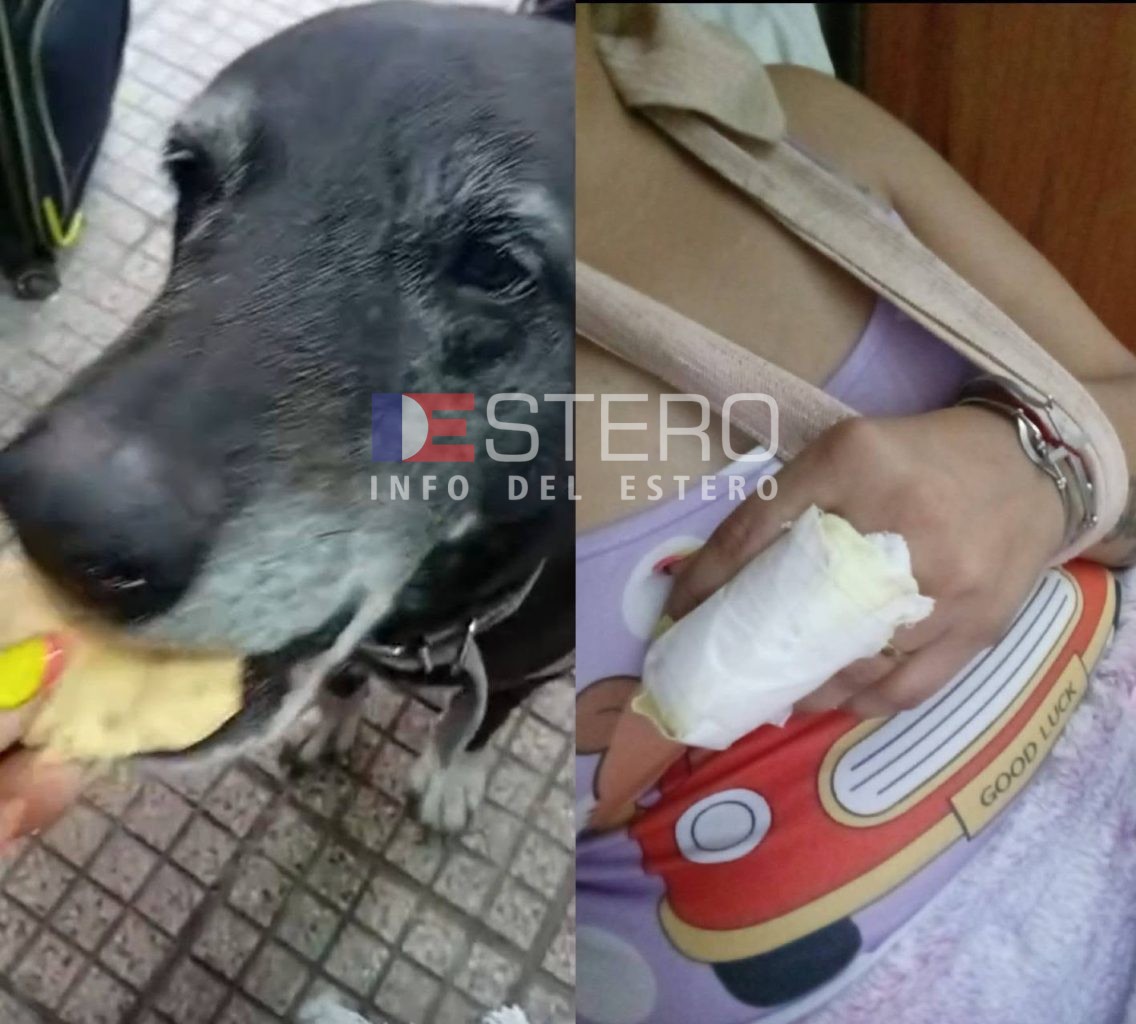 Termas: arrollaron a una perrita, una mujer la quiso ayudar y perdió un dedo