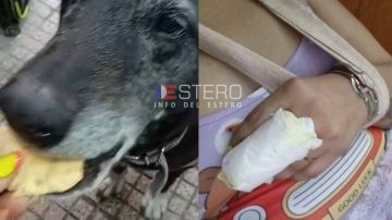 Termas: arrollaron a una perrita, una mujer la quiso ayudar y perdió un dedo
