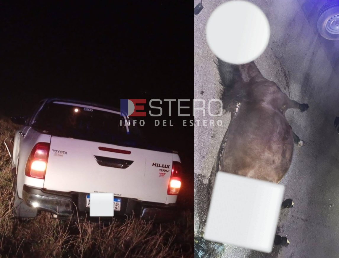 Una pareja de Monte Quemado se salvó de milagro tras chocar con un caballo en la Ruta 92