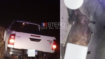 Una pareja de Monte Quemado se salvó de milagro tras chocar con un caballo en la Ruta 92
