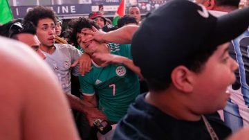 Videos: lamentables incidentes entre hinchas argentinos y argelinos en la previa del debut de la Selección