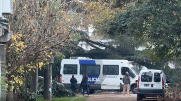 Se conocieron los primeros detalles del fallecimiento del Indio Solari: su cuidadora fue quien lo halló junto a la pileta