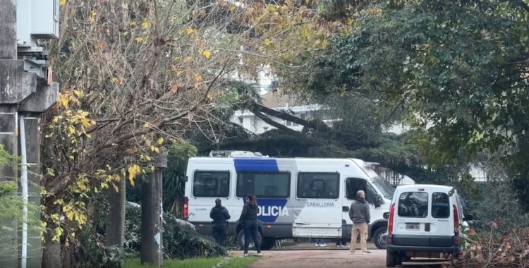 Se conocieron los primeros detalles del fallecimiento del Indio Solari: su cuidadora fue quien lo halló junto a la pileta