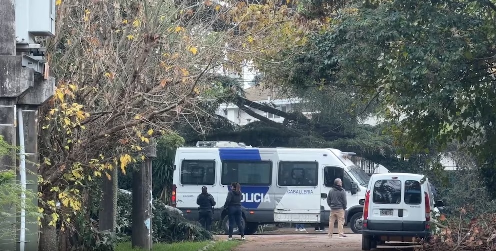Se conocieron los primeros detalles del fallecimiento del Indio Solari: su cuidadora fue quien lo halló junto a la pileta
