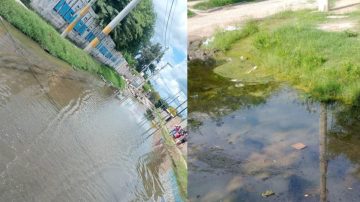 Vecinos de La Católica denuncian graves problemas cloacales y proliferación de mosquitos