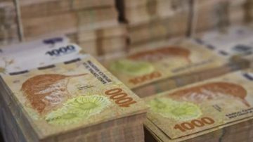 Clodomira: delincuentes ingresaron a una finca y se llevaron $7 millones, armas y herramientas