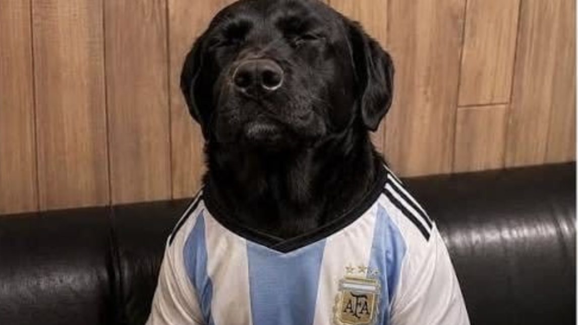 No pudo ser: Argentina se quedó sin la cuarta y los memes dieron que hablar en las redes sociales
