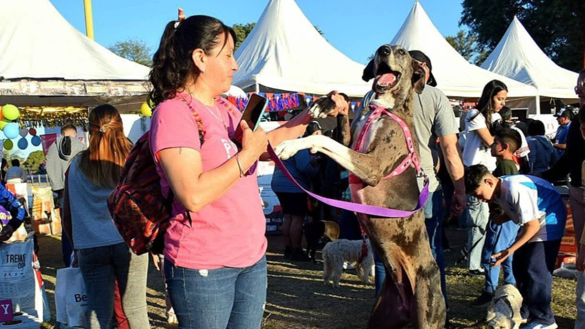 Con un evento de concientización se promocionará la tenencia responsable de mascotas