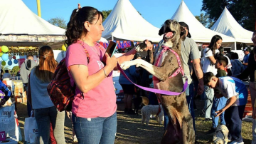 Con un evento de concientización se promocionará la tenencia responsable de mascotas
