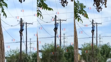 A plena luz del día: filman a un vecino trepando a un poste para “engancharse” en el cable de luz