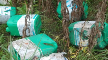 Vendió agua por herbicida: lo golpearon, ataron, lo subieron a la caja de una camioneta y lo entregaron a la policía