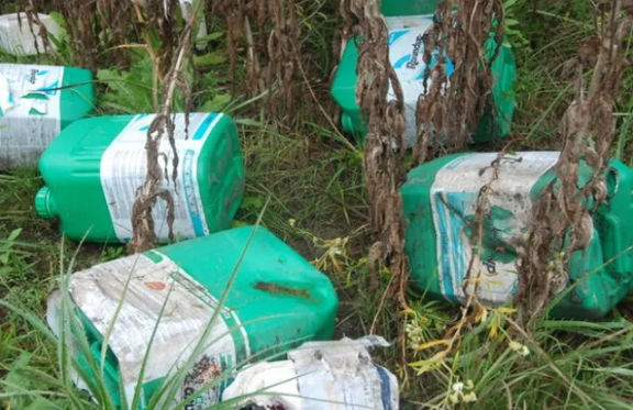 Vendió agua por herbicida: lo golpearon, ataron, lo subieron a la caja de una camioneta y lo entregaron a la policía