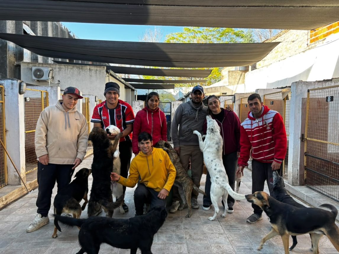 Bichos: conocé a este enorme equipo que no rescata perros, “rescata vidas que el mundo ya había abandonado”