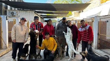 Bichos: conocé a este enorme equipo que no rescata perros, “rescata vidas que el mundo ya había abandonado”
