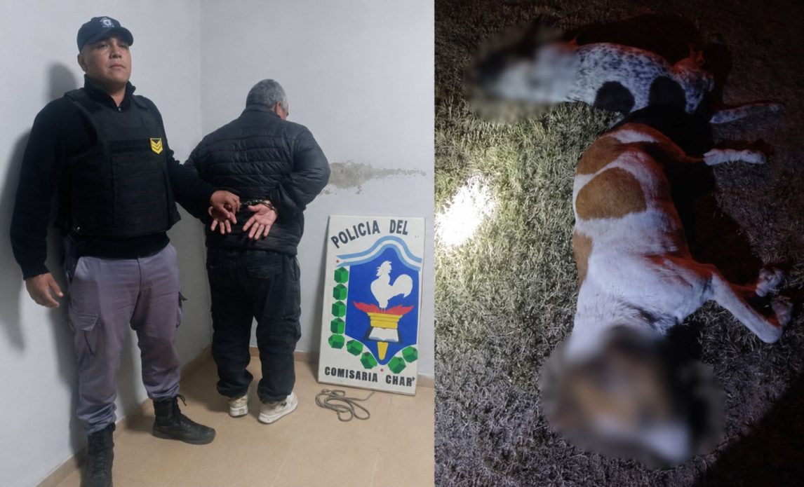 Detuvieron a un hombre tras confesar que mató a sus dos perros porque “le mataban los chivos”