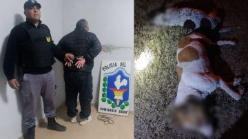 Detuvieron a un hombre tras confesar que mató a sus dos perros porque “le mataban los chivos”