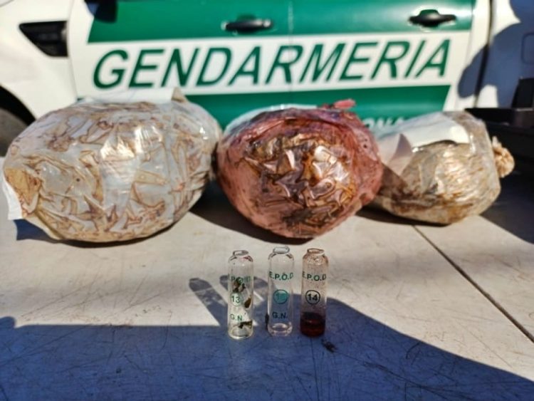 Encomienda narco: hallaron marihuana escondida dentro de un parlante durante un control