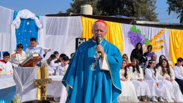 “Él quiere venir”: el cardenal Bokalic afirmó que el papa León XIV le manifestó su intención de visitar la Argentina próximamente