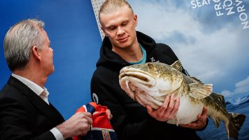 Ni el asado los tienta: Noruega llegó al Mundial con 580 kilos de comida propia