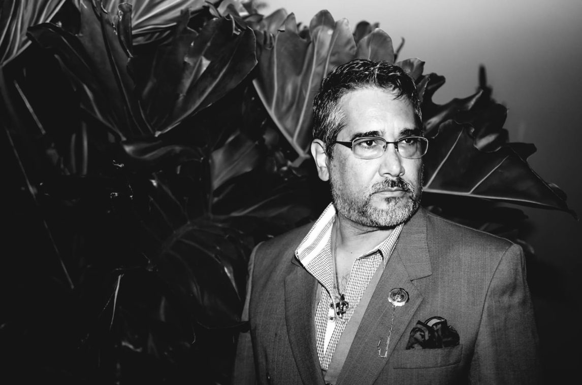 De gatos y pajarracos