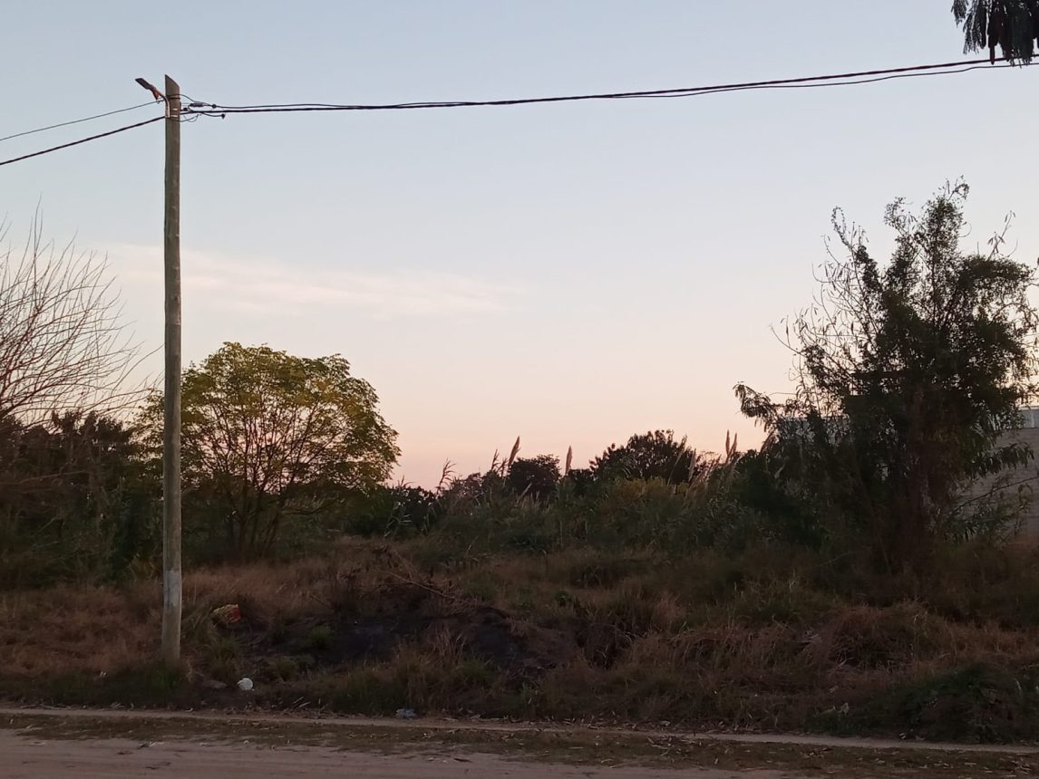 La Banda: denuncian que un “monte” convertido en basural favorece los robos a metros de la Autopista