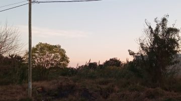 La Banda: denuncian que un “monte” convertido en basural favorece los robos a metros de la Autopista