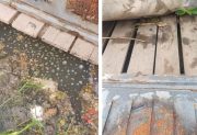 “Hace tres meses vivimos con los residuos cloacales en el patio”: el desesperado reclamo de una vecina del barrio Siglo XXI