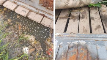 “Hace tres meses vivimos con los residuos cloacales en el patio”: el desesperado reclamo de una vecina del barrio Siglo XXI
