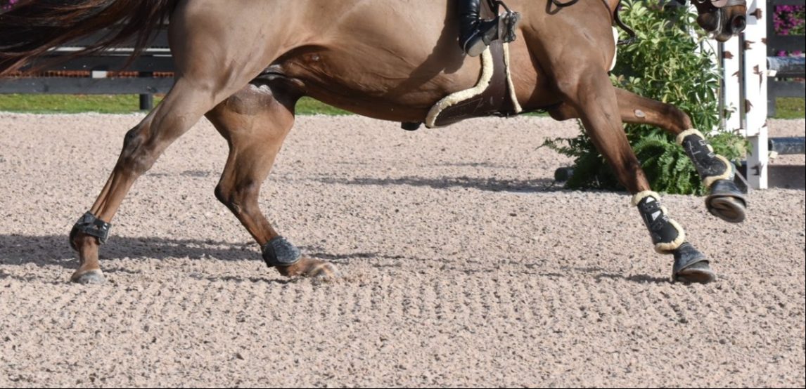 Frías: un niño de 10 años cayó de un caballo y está grave
