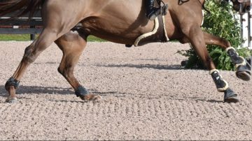 Frías: un niño de 10 años cayó de un caballo y está grave
