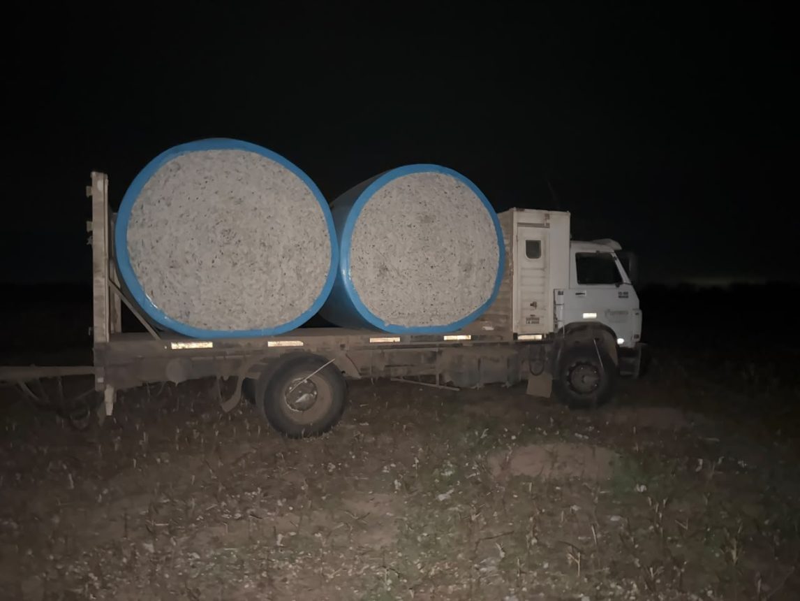 Denuncian al fiscal Torresi por dar “vía libre” a un violento desalojo, robo de productos agrícolas y cultivos