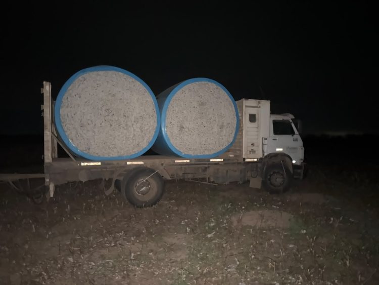 Denuncian al fiscal Torresi por dar “vía libre” a un violento desalojo, robo de productos agrícolas y cultivos