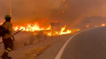España: Graves incendios forestales dejaron al menos 12 muertos y 25 desaparecidos