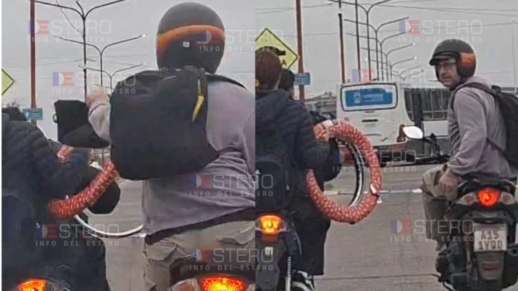 VIDEO | Relatos salvajes parte mil: motociclista golpeó a otro mientras manejaban en plena Av. Lugones