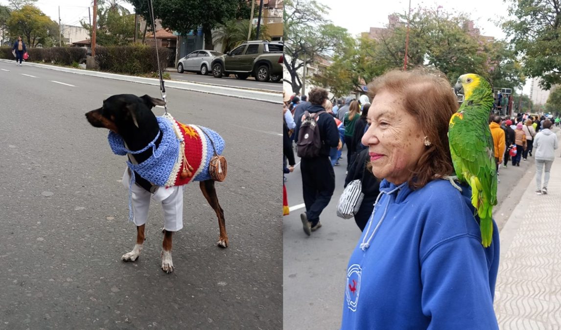 Las mejores fotos de la 12° Marcha de las Cuerdas y Fuelles: del loro Tony a Teodoro, todo el color de una fiesta mágica