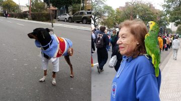 Las mejores fotos de la 12° Marcha de las Cuerdas y Fuelles: del loro Tony a Teodoro, todo el color de una fiesta mágica