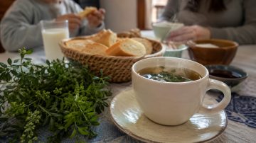 ¿Los niños pueden tomar té de ruda? Qué dicen los pediatras sobre la tradición del 1° de agosto