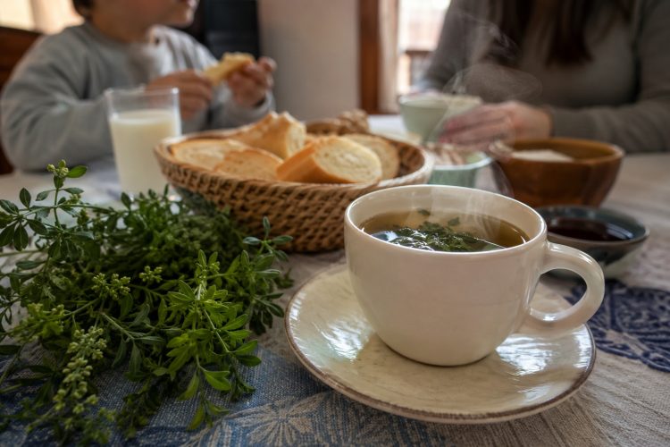 ¿Los niños pueden tomar té de ruda? Qué dicen los pediatras sobre la tradición del 1° de agosto