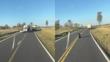 Circula un falso video sobre un accidente vial en una ruta de Santiago del Estero