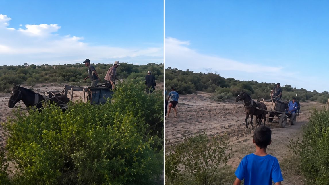 Maltrato animal en Termas: identificaron a los acusados tras la viralización de un violento video contra caballos