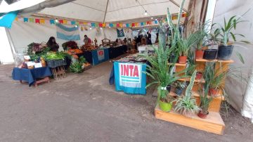 Por el fallecimiento de una feriante, la carpa del INTA en la Feria Artesanal permanece cerrada