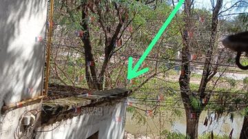 “Le decía que se tire que ella la iba a atrapar abajo”: una mujer habría incitado a su hija de 4 años a arrojarse desde un tercer piso