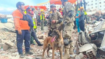 “Mi perro me lamía cuando me desmayaba”: un niño relató cómo logró sobrevivir 14 días bajo los escombros