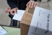 Elecciones municipales: destacan que las personas trans votaron sin registrar hechos de discriminación